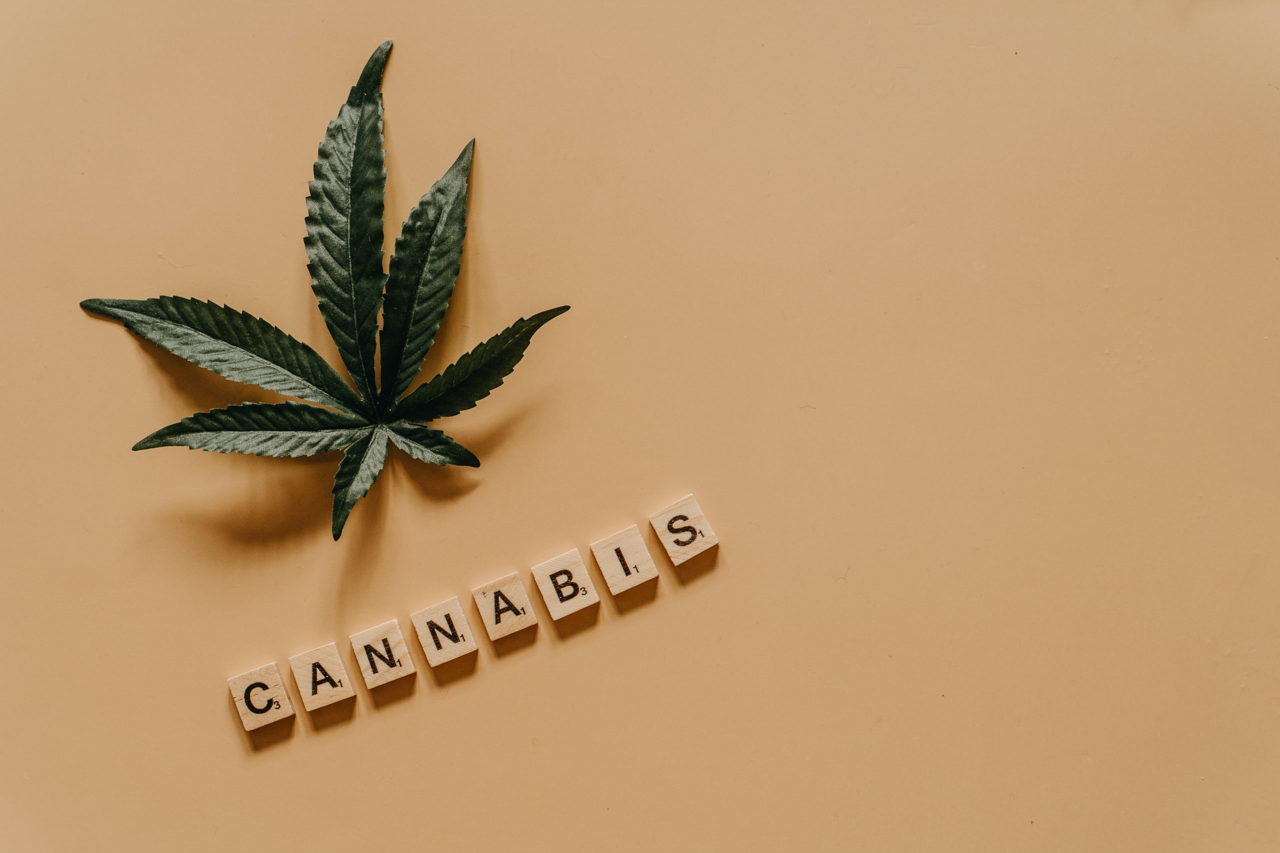 Cannabis image representing increase in use, social acceptability and legal sourcing of cannabis in Canada